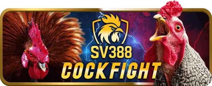 Thẻ VIP độc quyền của MB66 OKVIP